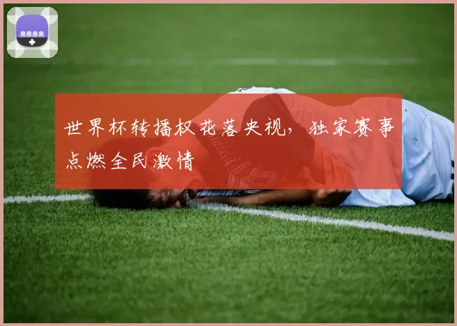 世界杯转播权花落央视，独家赛事点燃全民激情