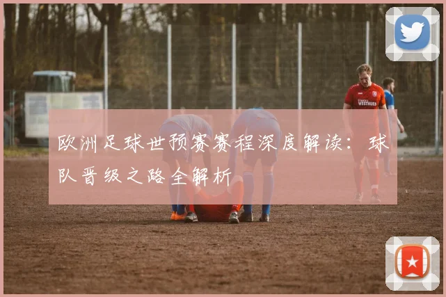 欧洲足球世预赛赛程深度解读：球队晋级之路全解析