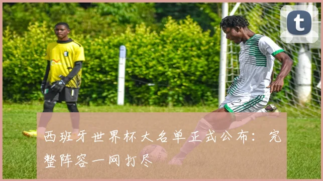 西班牙世界杯大名单正式公布：完整阵容一网打尽