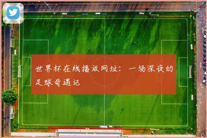 世界杯在线播放网址：一场深夜的足球奇遇记