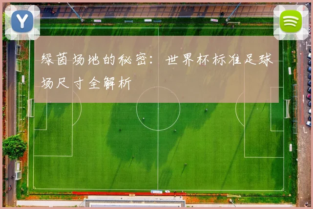绿茵场地的秘密：世界杯标准足球场尺寸全解析