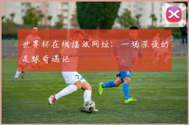 世界杯在线播放网址：一场深夜的足球奇遇记