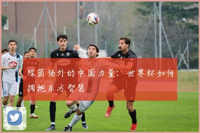 绿茵场外的中国力量：世界杯如何拥抱东方智慧
