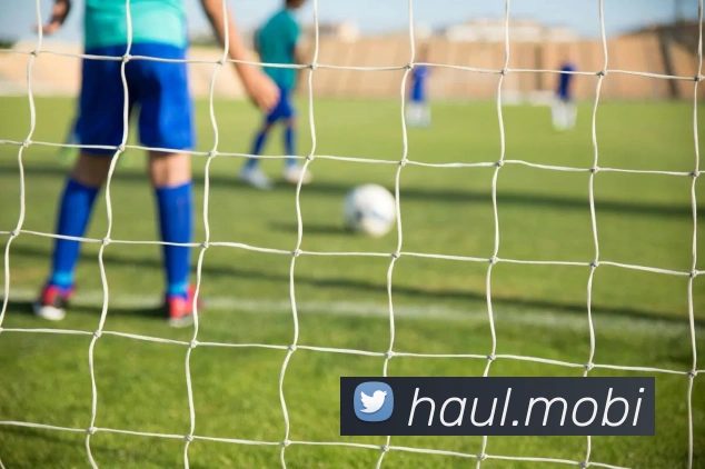 App Interface Preview